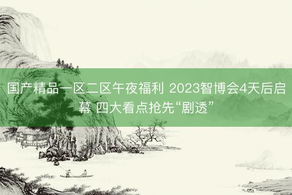 国产精品一区二区午夜福利 2023智博会4天后启幕 四大看点抢先“剧透”