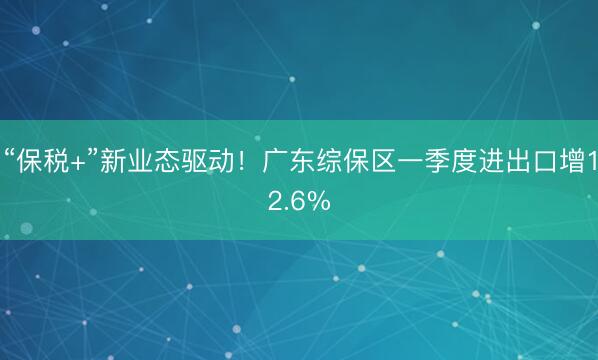 “保税+”新业态驱动！广东综保区一季度进出口增12.6%