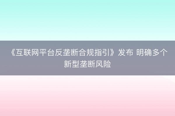 《互联网平台反垄断合规指引》发布 明确多个新型垄断风险