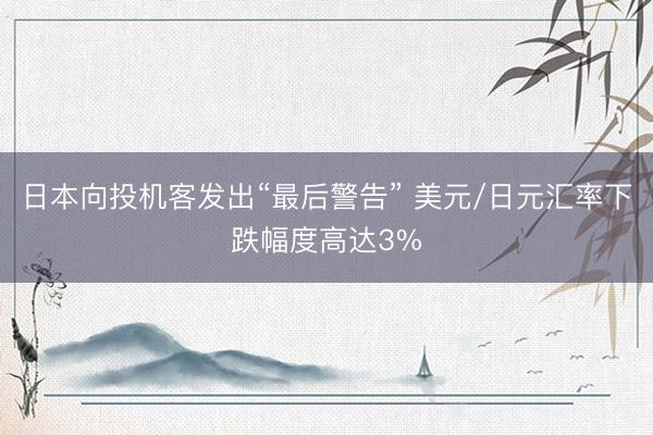 日本向投机客发出“最后警告” 美元/日元汇率下跌幅度高达3%