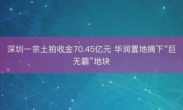 深圳一宗土拍收金70.45亿元 华润置地摘下“巨无霸”地块