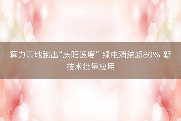 算力高地跑出“庆阳速度” 绿电消纳超80% 新技术批量应用