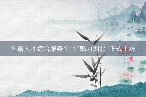 外籍人才综合服务平台“魅力湖北”正式上线