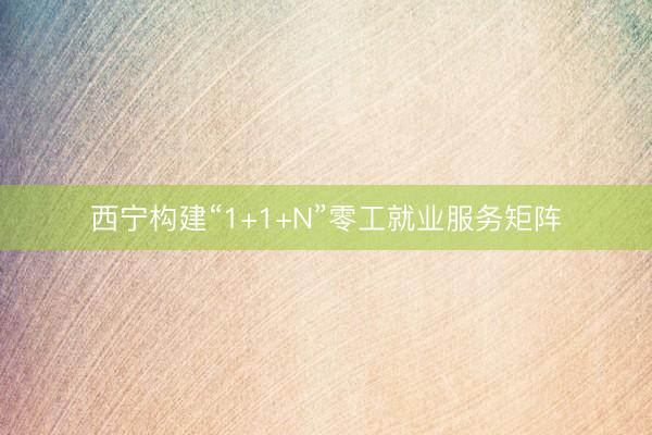 西宁构建“1+1+N”零工就业服务矩阵