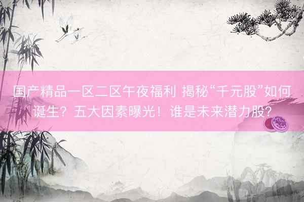 国产精品一区二区午夜福利 揭秘“千元股”如何诞生？五大因素曝光！谁是未来潜力股？