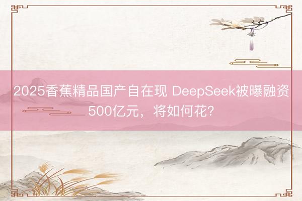 2025香蕉精品国产自在现 DeepSeek被曝融资500亿元,将如何花?
