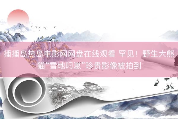 播播岛热岛电影网网盘在线观看 罕见！野生大熊猫“雪地叼崽”珍贵影像被拍到