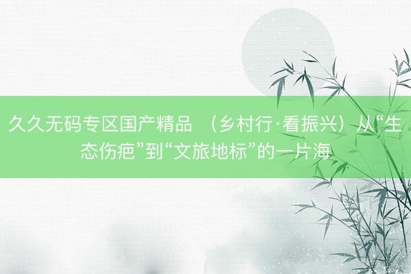 久久无码专区国产精品 （乡村行·看振兴）从“生态伤疤”到“文旅地标”的一片海