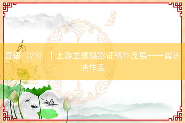 夏语（23）｜上游主题摄影征稿作品展——龚长浩作品