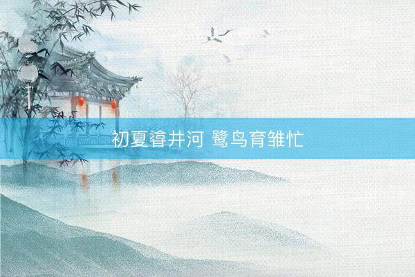 初夏㽏井河 鹭鸟育雏忙