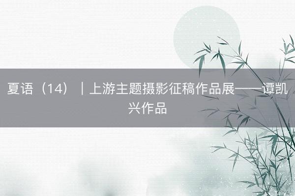 夏语（14）｜上游主题摄影征稿作品展——谭凯兴作品