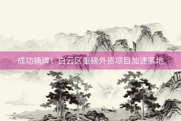 成功摘牌！白云区重磅外资项目加速落地