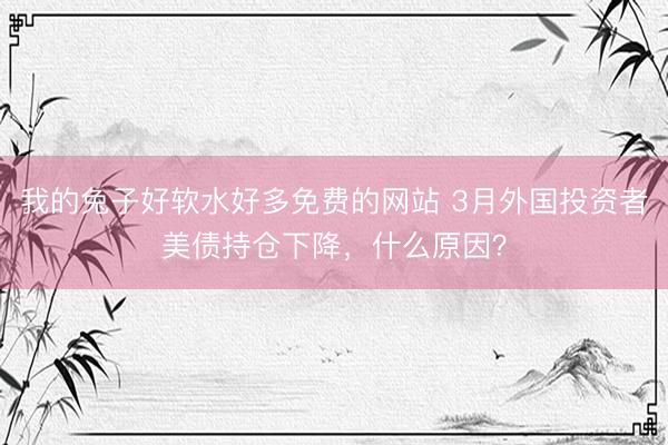 我的兔子好软水好多免费的网站 3月外国投资者美债持仓下降，什么原因？