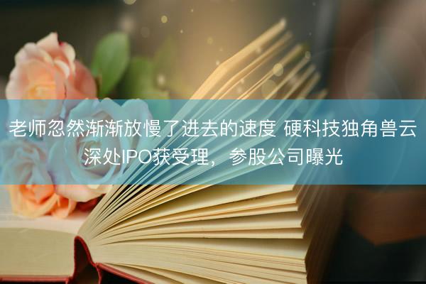 老师忽然渐渐放慢了进去的速度 硬科技独角兽云深处IPO获受理,参股公司曝光