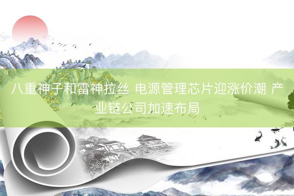 八重神子和雷神拉丝 电源管理芯片迎涨价潮 产业链公司加速布局