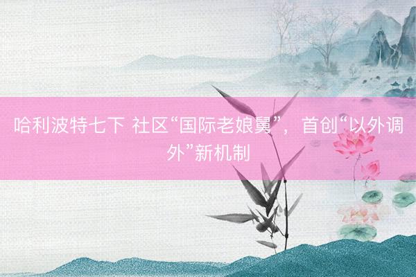 哈利波特七下 社区“国际老娘舅”，首创“以外调外”新机制