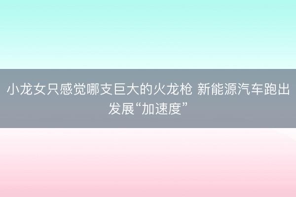 小龙女只感觉哪支巨大的火龙枪 新能源汽车跑出发展“加速度”