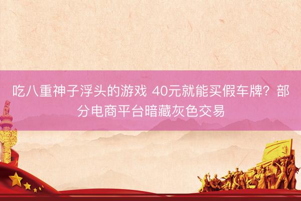 吃八重神子浮头的游戏 40元就能买假车牌？部分电商平台暗藏灰色交易