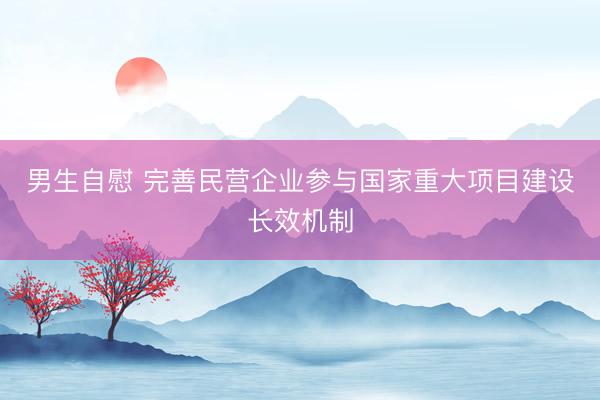 男生自慰 完善民营企业参与国家重大项目建设长效机制