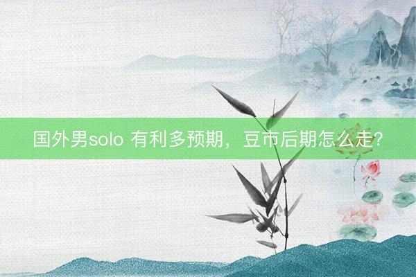 国外男solo 有利多预期,豆市后期怎么走?