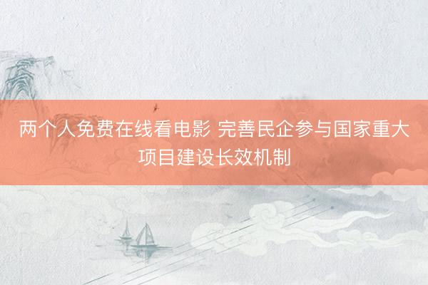 两个人免费在线看电影 完善民企参与国家重大项目建设长效机制