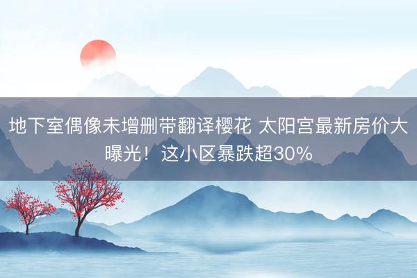 地下室偶像未增删带翻译樱花 太阳宫最新房价大曝光！这小区暴跌超30%