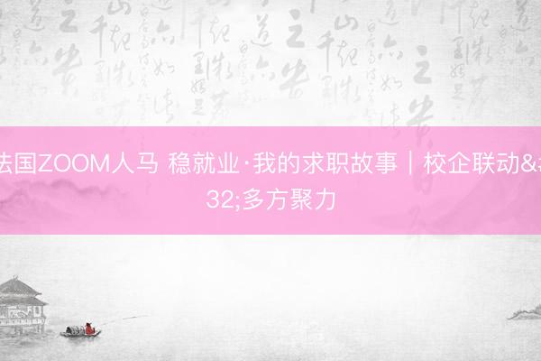 法国ZOOM人马 稳就业·我的求职故事｜校企联动 多方聚力