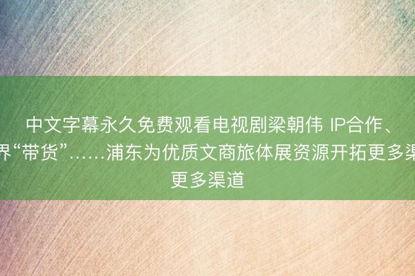 中文字幕永久免费观看电视剧梁朝伟 IP合作、跨界“带货”……浦东为优质文商旅体展资源开拓更多渠道