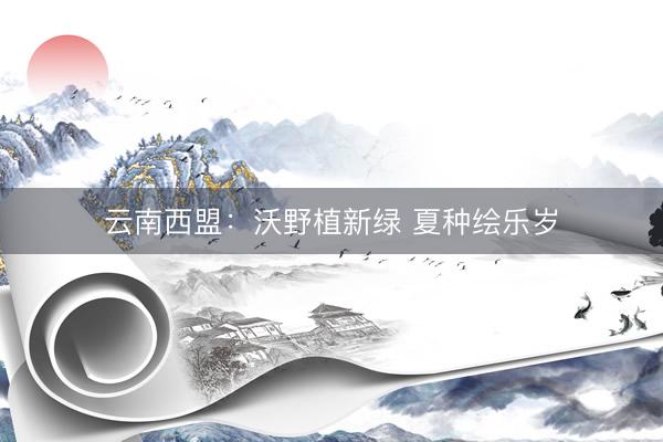 云南西盟：沃野植新绿 夏种绘乐岁