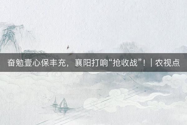 奋勉壹心保丰充，襄阳打响“抢收战”！| 农视点