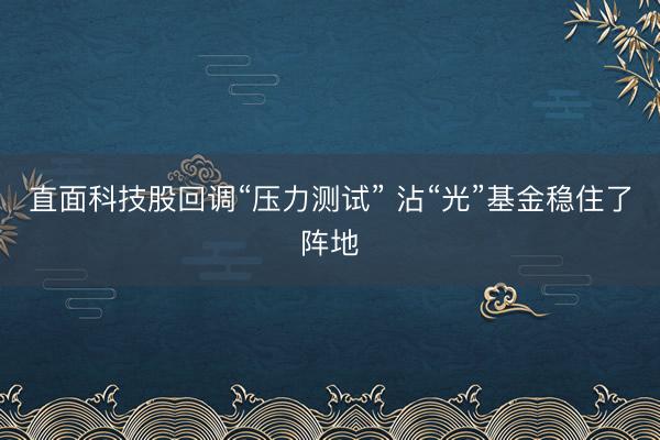 直面科技股回调“压力测试” 沾“光”基金稳住了阵地