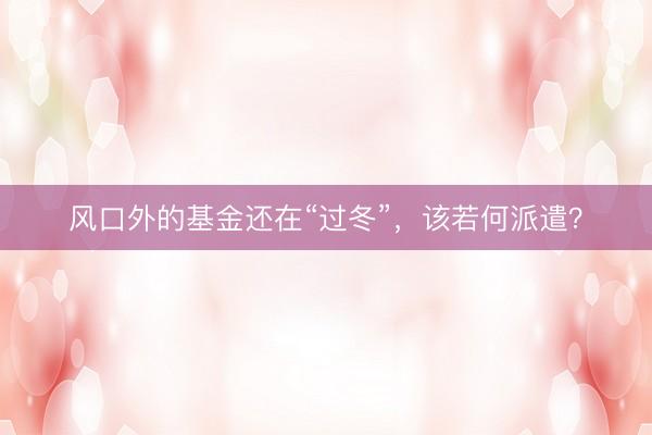 风口外的基金还在“过冬”,该若何派遣?