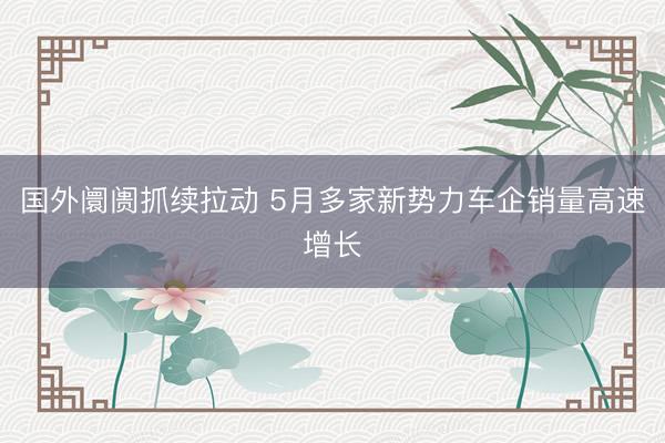 国外阛阓抓续拉动 5月多家新势力车企销量高速增长