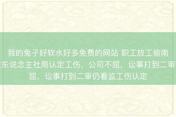 我的兔子好软水好多免费的网站 职工放工偷南瓜后出车祸，被东说念主社局认定工伤，公司不屈，讼事打到二审仍看监工伤认定