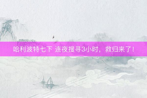 哈利波特七下 连夜搜寻3小时，<a href=