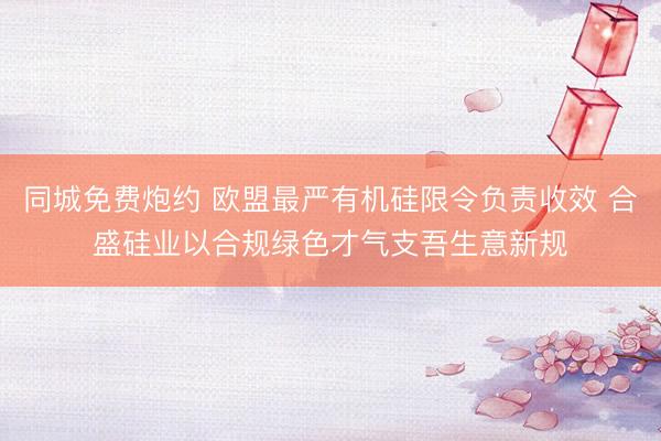 同城免费炮约 欧盟最严有机硅限令负责收效 合盛硅业以合规绿色才气支吾生意新规