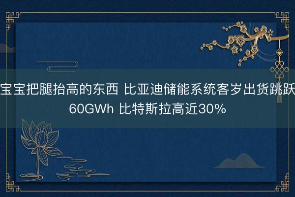 宝宝把腿抬高的东西 比亚迪储能系统客岁出货跳跃60GWh 比特斯拉高近30%