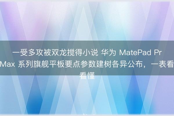 一受多攻被双龙搅得小说 华为 MatePad Pro Max 系列旗舰平板要点参数建树各异公布，一表看懂