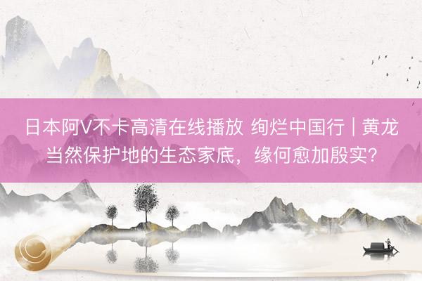 日本阿V不卡高清在线播放 绚烂中国行 | 黄龙当然保护地的生态家底，缘何愈加殷实？