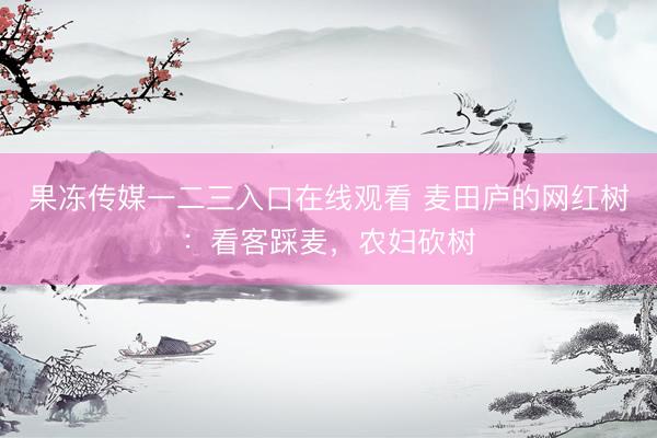 果冻传媒一二三入口在线观看 麦田庐的网红树：看客踩麦，农妇砍树