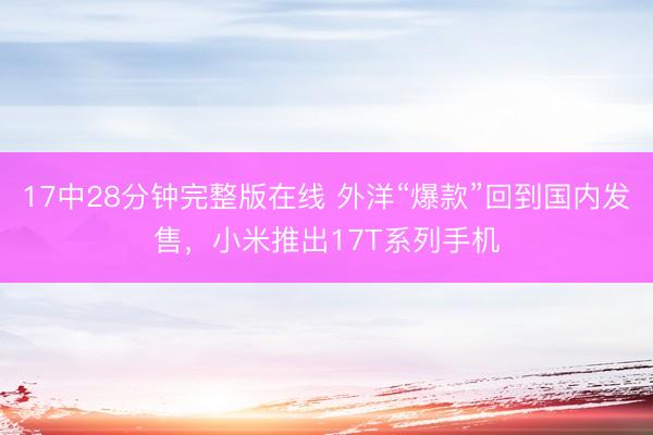 17中28分钟完整版在线 外洋“爆款”回到国内发售,小米推出17T系列手机