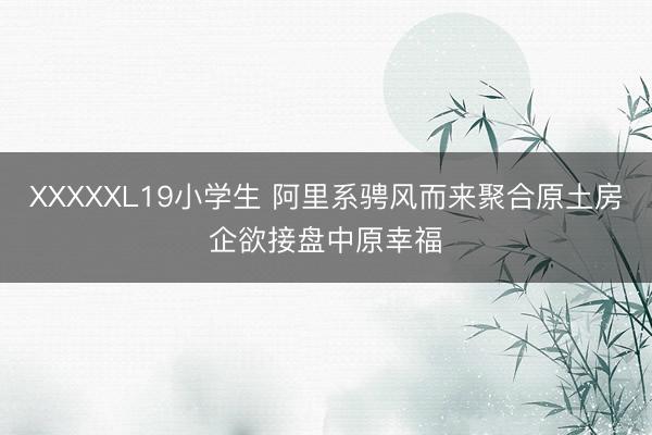 XXXXXL19小学生 阿里系骋风而来聚合原土房企欲接盘中原幸福