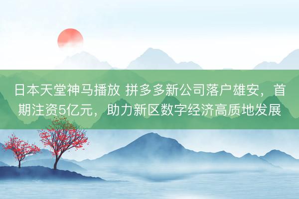 日本天堂神马播放 拼多多新公司落户雄安，首期注资5亿元，助力新区数字经济高质地发展