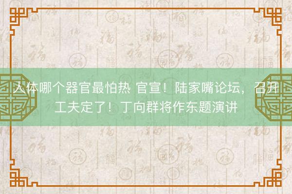 人体哪个器官最怕热 官宣！陆家嘴论坛，召开工夫定了！丁向群将作东题演讲
