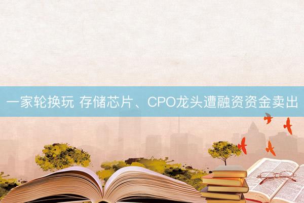 一家轮换玩 存储芯片、CPO龙头遭融资资金卖出