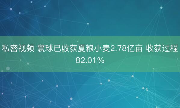 私密视频 寰球已收获夏粮小麦2.78亿亩 收获过程82.01%