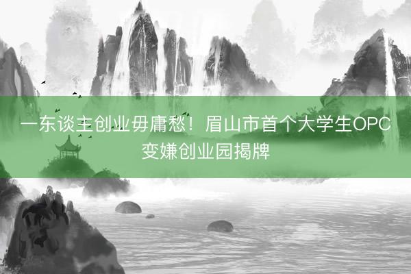 一东谈主创业毋庸愁！眉山市首个大学生OPC变嫌创业园揭牌