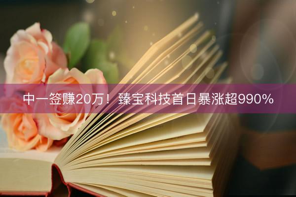 中一签赚20万！臻宝科技首日暴涨超990%